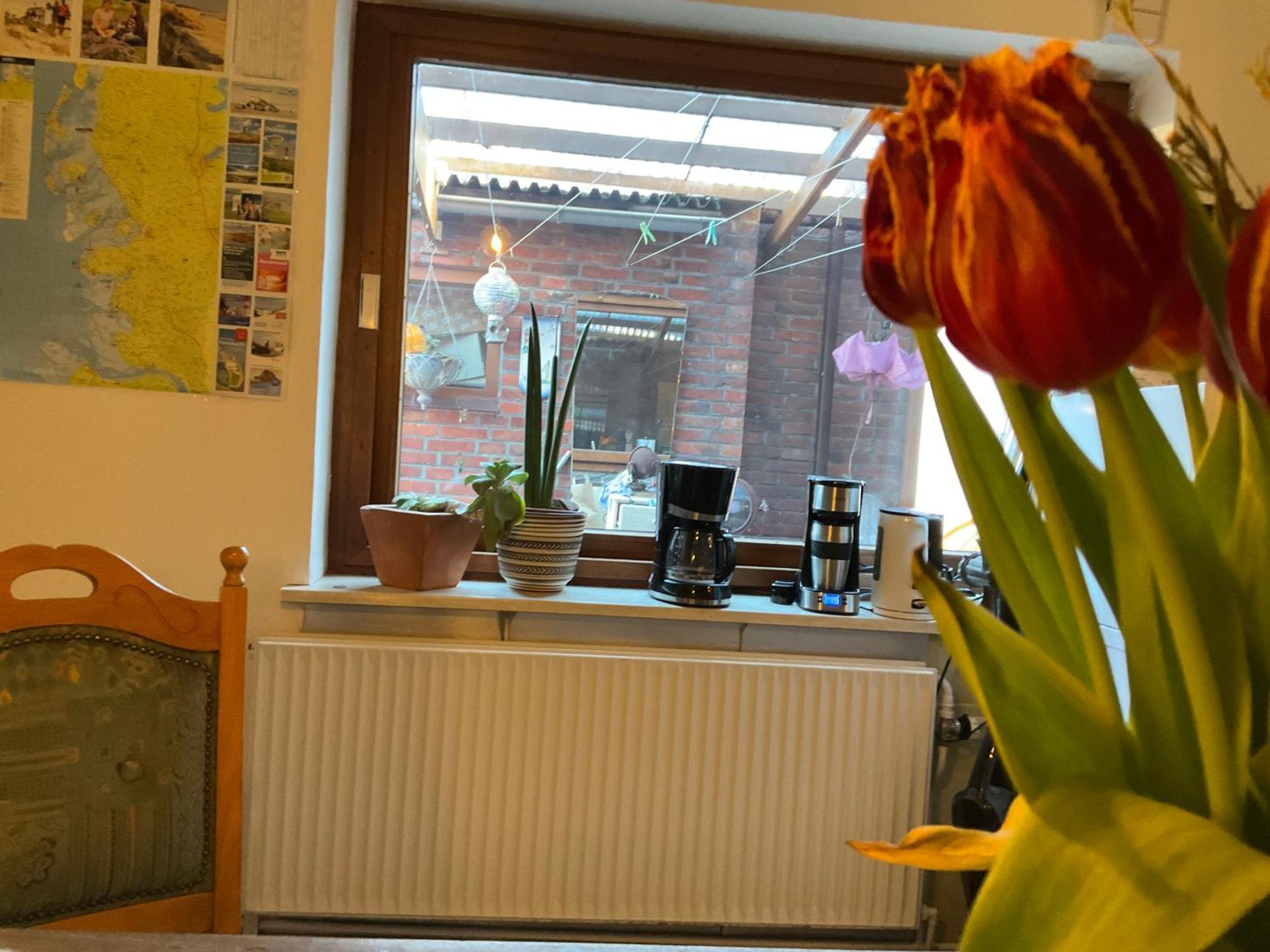Privartzimmer 'Ausfahrt Freihalten' Husum (Schleswig-Holstein) Exterior foto